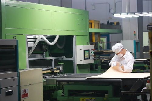 聚焦東莞戰略性新興產業③│新材料 進軍2000億，東莞底氣十足